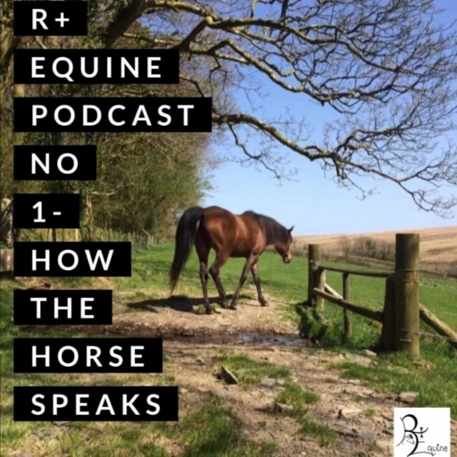 R+ Equine-How the horse speaks