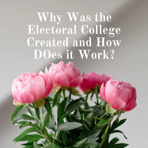 Why Was the Electoral College Created and How Does it Work?