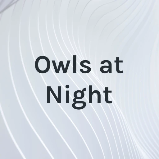 Owls at Night