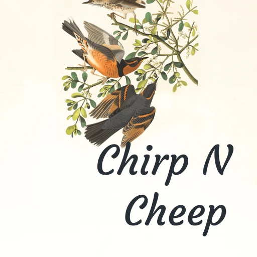 Chirp N Cheep