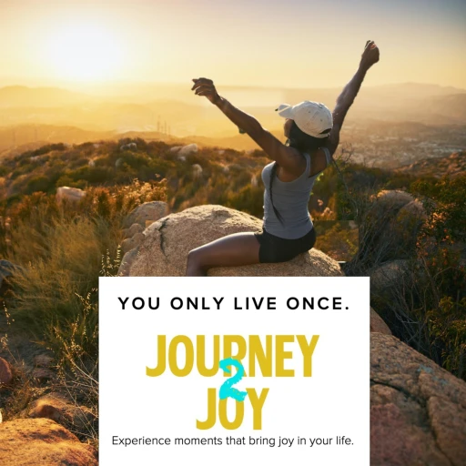 Journey 2 Joy