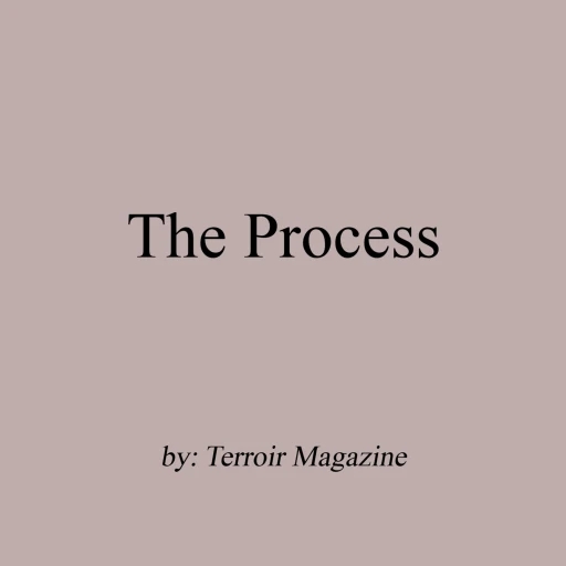 The Process by Terroir Magazine