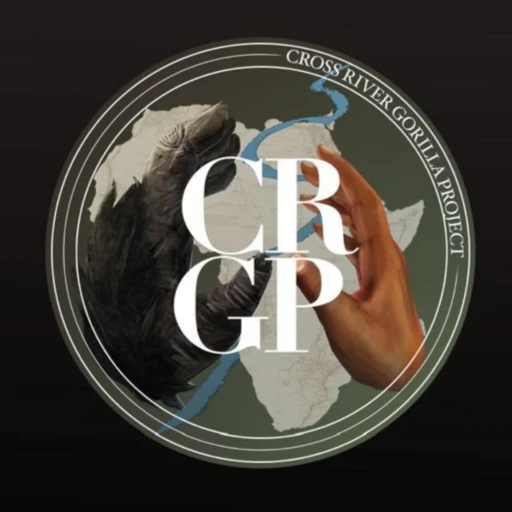 The 3 C’s with the Cross River Gorilla Project