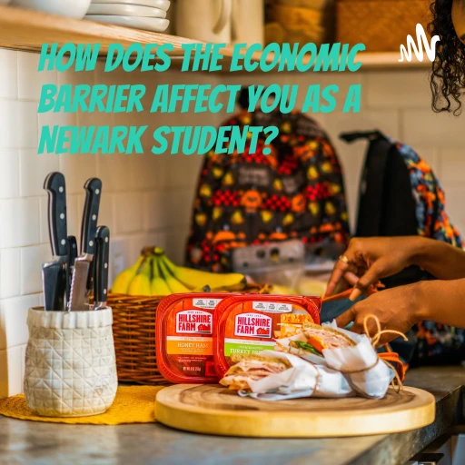 How does the Economic Barrier Affect you as a Newark Student?