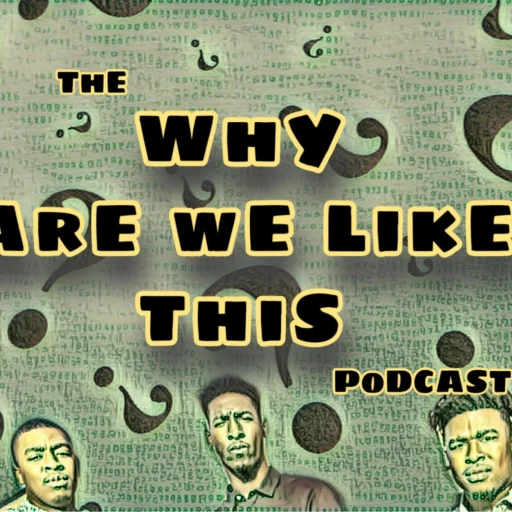 The Why Are We Like This Podcast