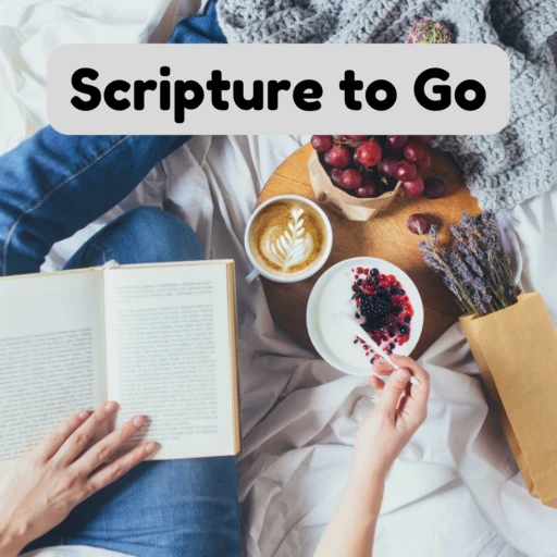 Scripture to Go