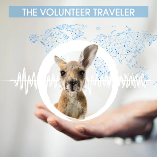 The Volunteer Traveler