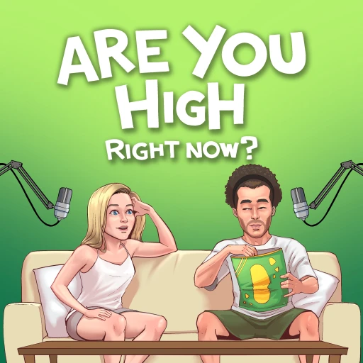 Are You High Right Now?