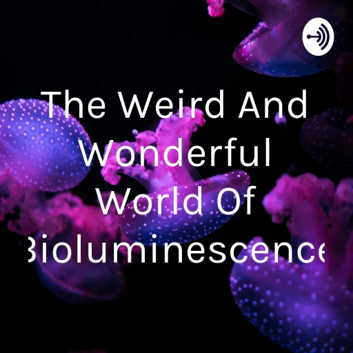 The Weird And Wonderful World Of Bioluminescence