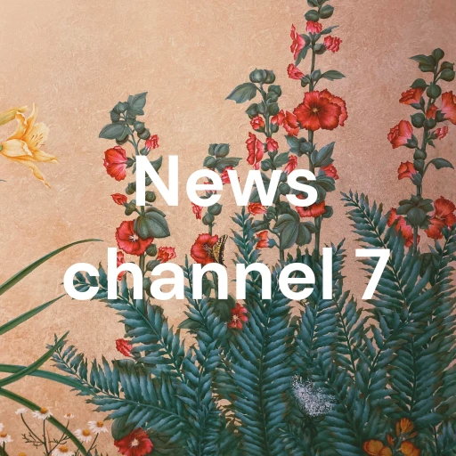 News channel 7