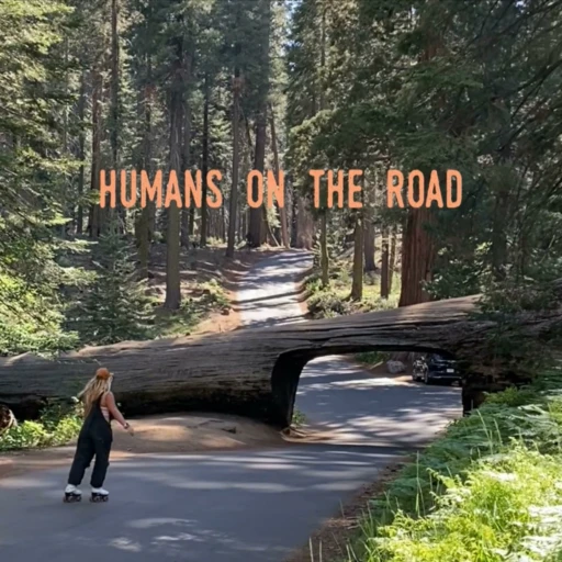 Humans on the Road