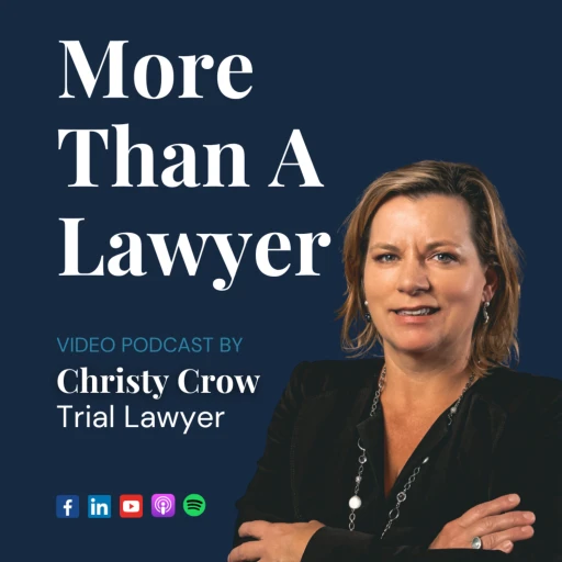 More Than A Lawyer